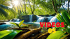 VIDEO – 05